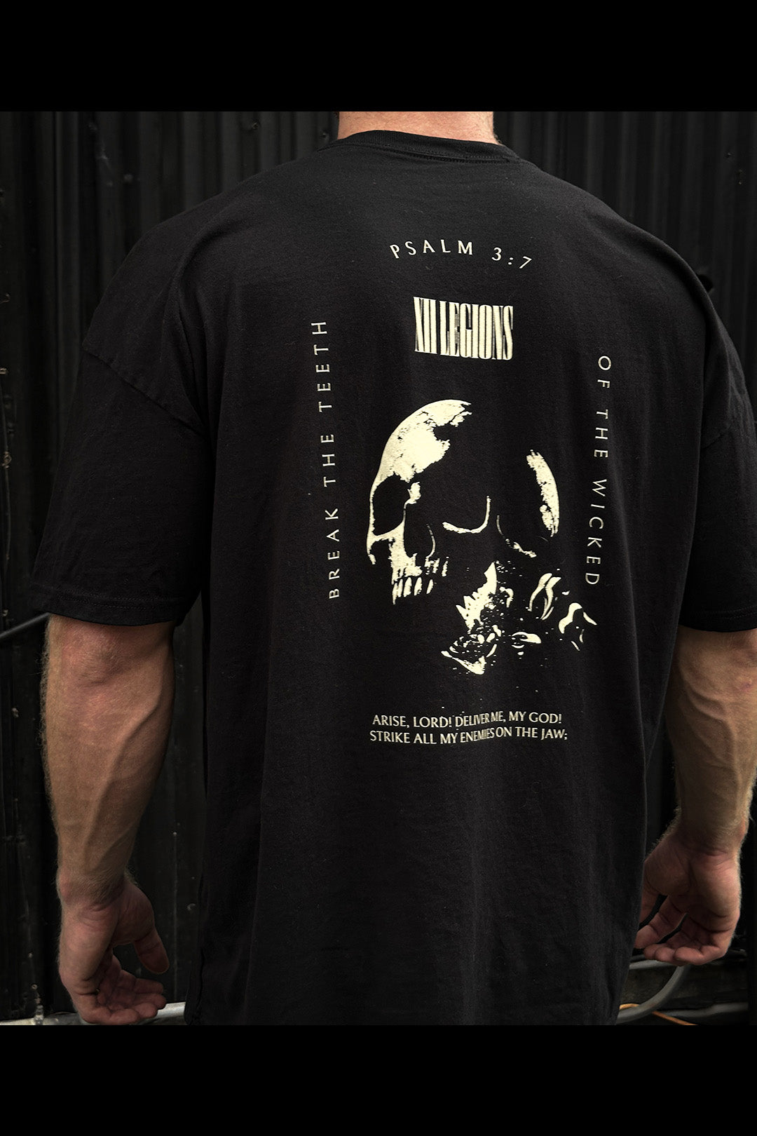 PSALM 3:7 Premium Heavyweight T